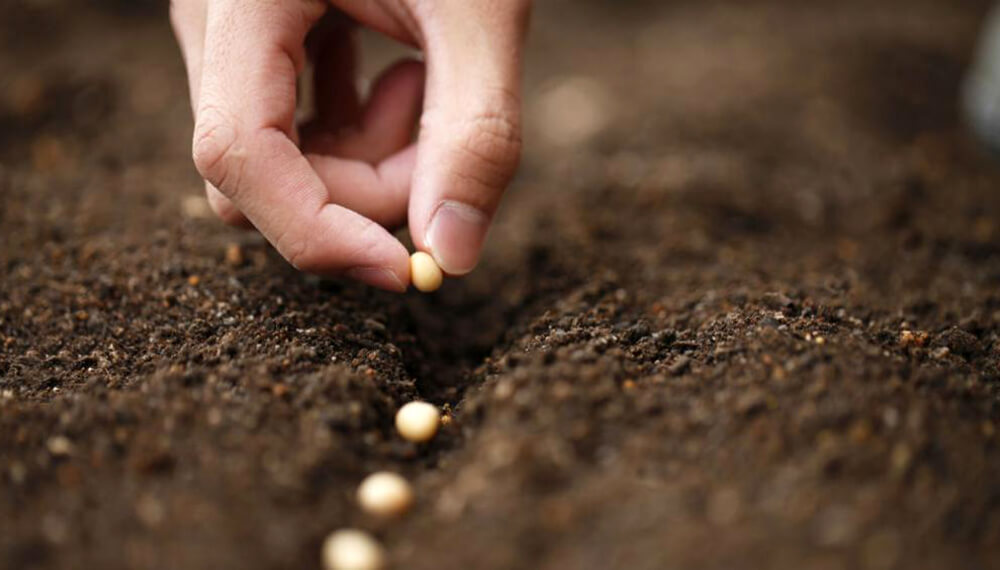 22.09.2021 Finalizó con éxito la entrega de semillas de la Intendencia de Lavalleja