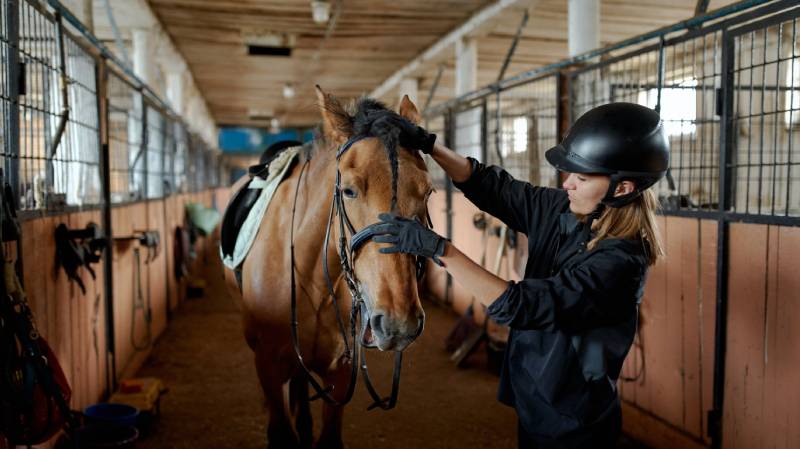16.03.2023 Sábado 18 carreras de caballos en Pista Colman, Pirarajá