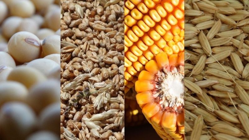 El USDA, un mundo inundado de granos y lo que tienen para decir los maltusianos