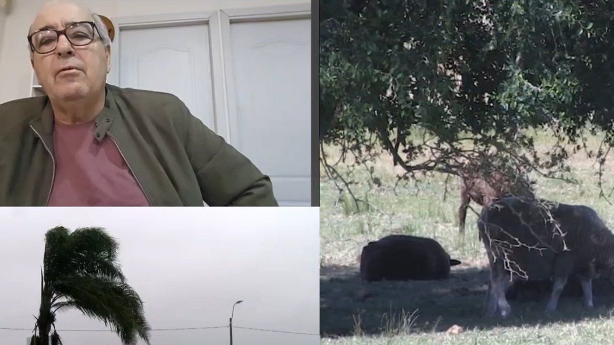 El Ministro Fratti Anuncia Apoyo a Productores Afectados por Sequía: «No Llueve Pasto»