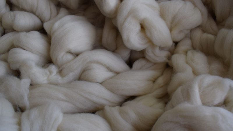 Perspectivas para el Mercado Lanero a Inicios de 2026: Productores anticipan posibles subas y un repunte en la segunda mitad de la zafra