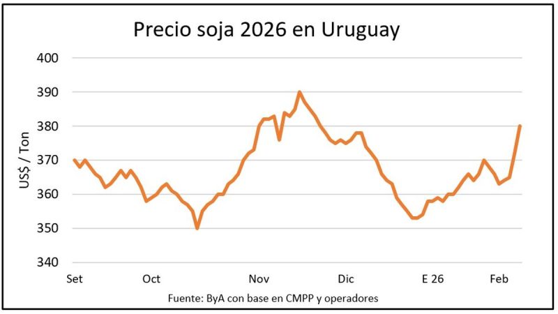 Un posteo de Trump abre una oportunidad para la soja