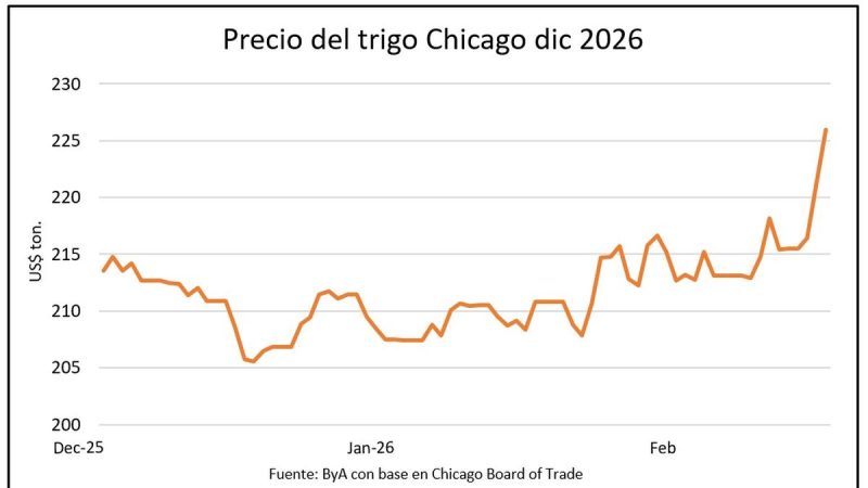 Los granos en movimiento: el petróleo impulsa al mercado, el trigo se dispara y la soja gana terreno