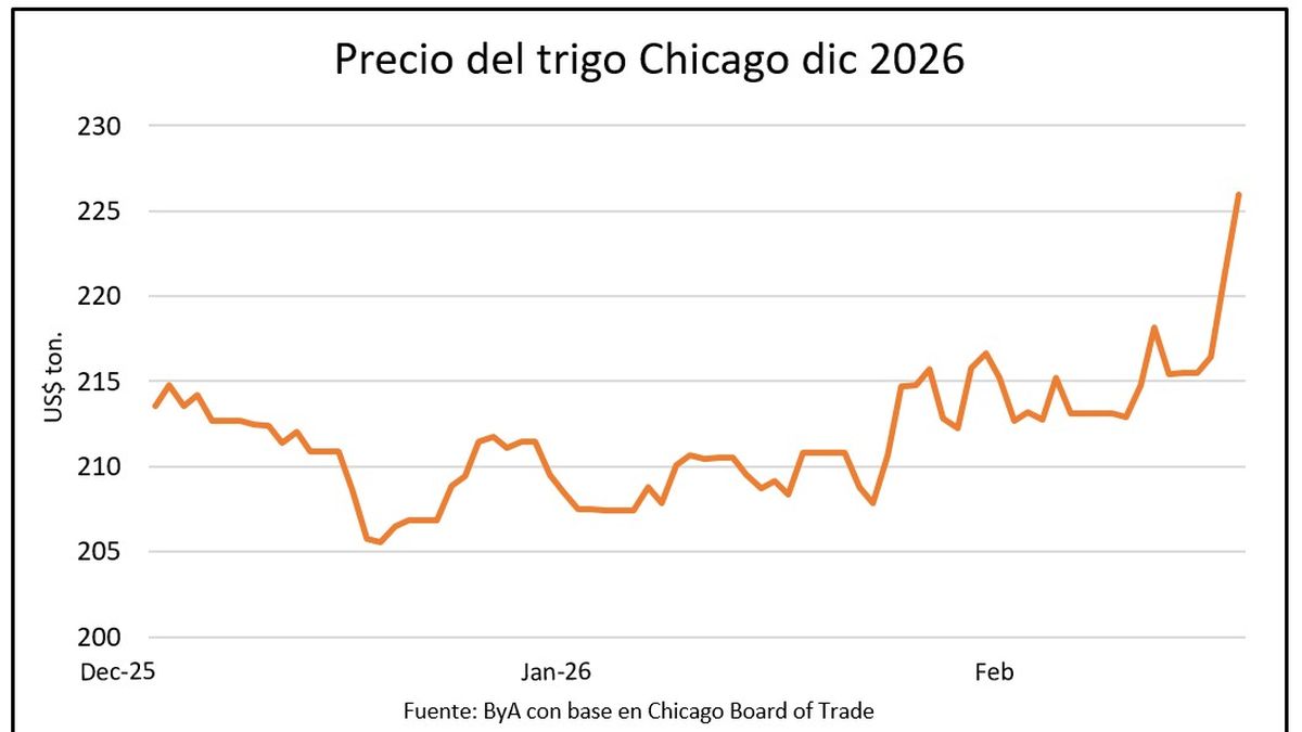 Los granos en movimiento: el petróleo impulsa al mercado, el trigo se dispara y la soja gana terreno