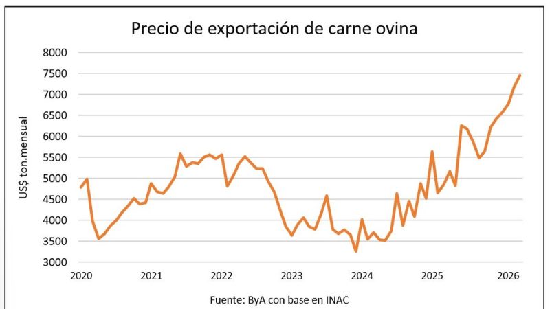 Precio de la carne ovina rumbo a los US$ 7.500 y el cordero cerca de US$ 6 por kilo