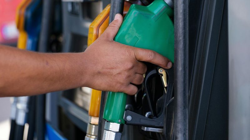 La crisis del petróleo impulsa una rápida transformación en el sector de los cultivos aceiteros