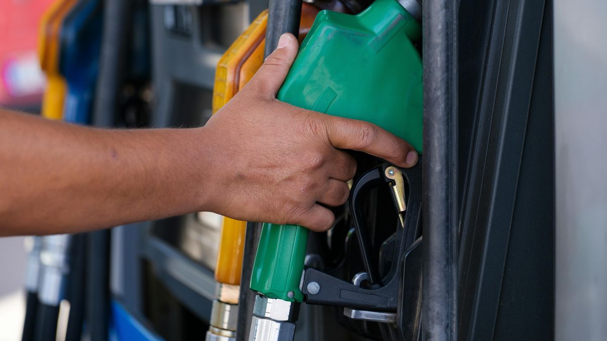 La crisis del petróleo impulsa una rápida transformación en el sector de los cultivos aceiteros