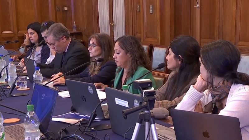 Ministra de Industria compareció ante el Senado para tratar la dinámica del precio de los combustibles