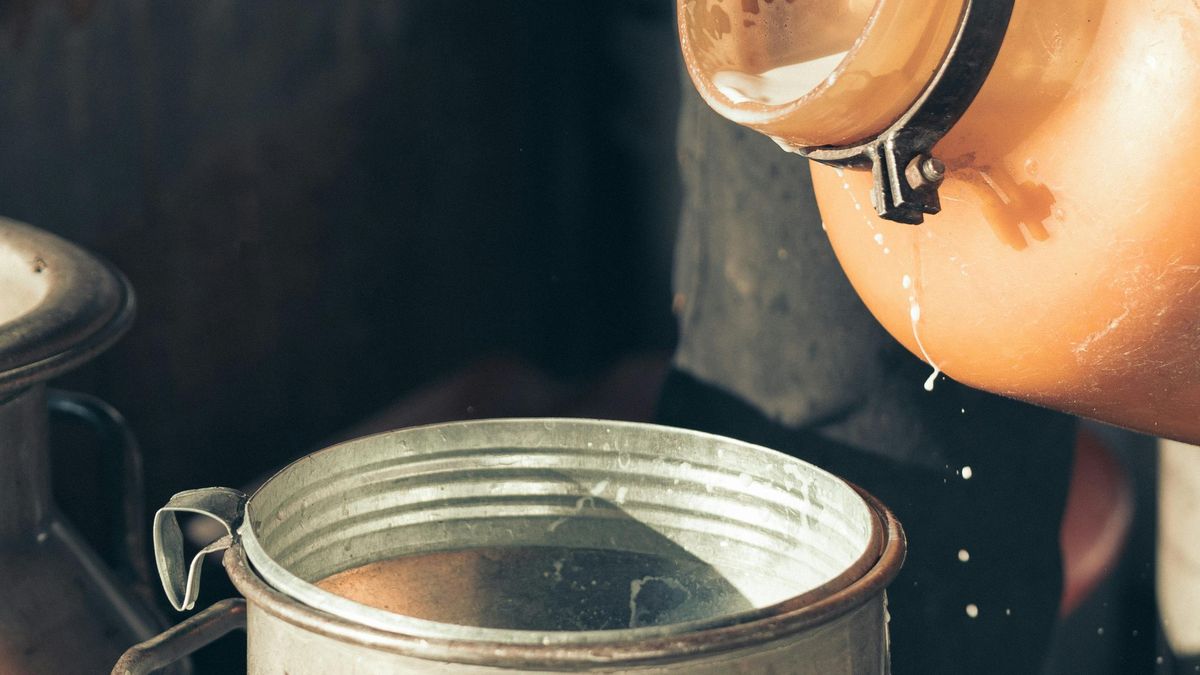 Nuevas referencias de valores de productos lácteos en el mercado internacional