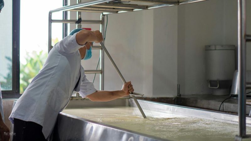 Los precios lácteos globales marcan una nueva tendencia a la baja