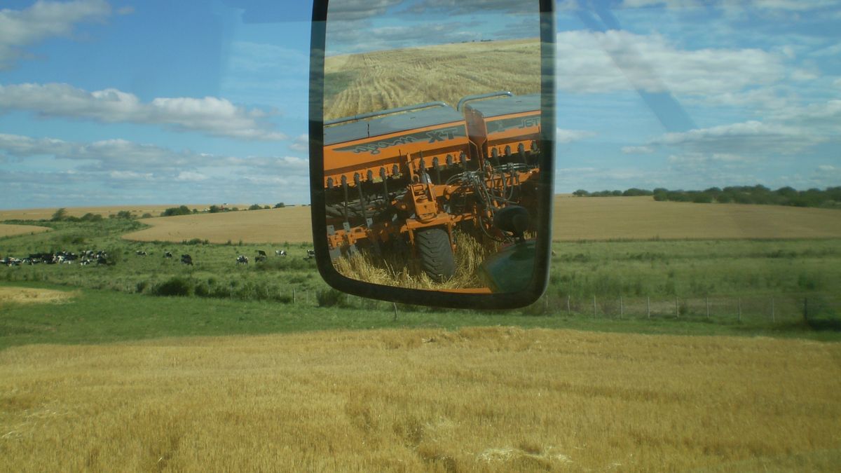 La Sociedad Uruguaya de Ciencia del Suelo sumó su voz al debate sobre los planes de uso y manejo del recurso