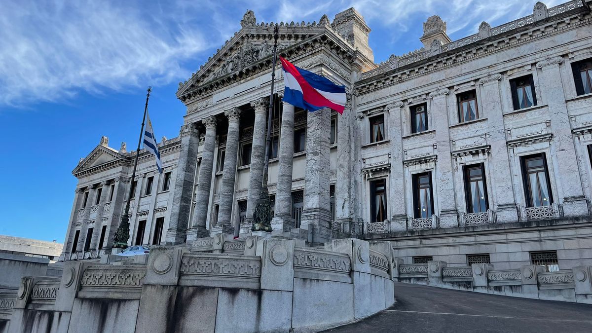 Con votos del FA, Senado aprobó la creación del Comisionado Parlamentario para la Niñez y la Adolescencia