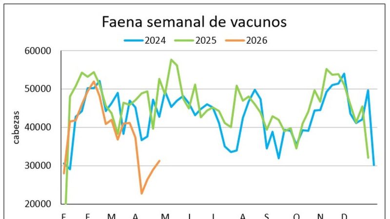 Escasez de ganado gordo tranca la faena de vacunos y en el primer cuatrimestre la actividad cae casi 20%